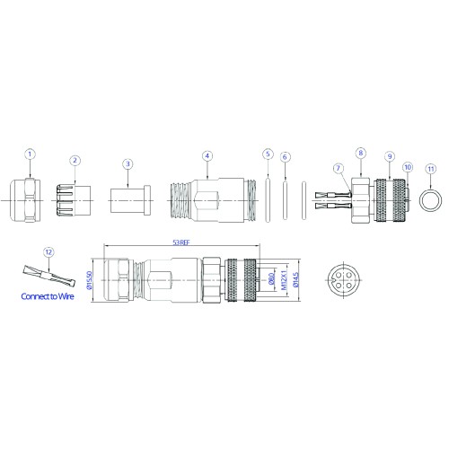 CC12-XXS-X04-AC - M12 Cable Mounted Socket (A Code)