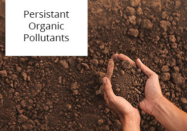 Persistant Organic Pollutants